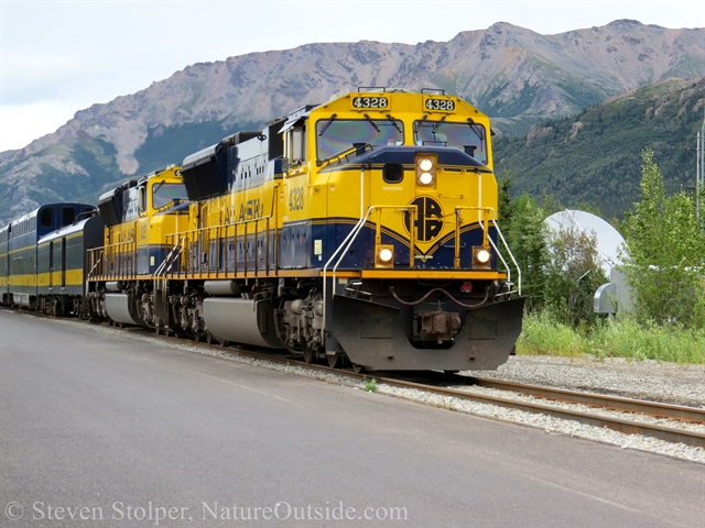 train from Fairbanks at Denali depot