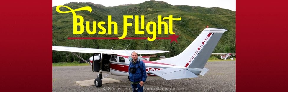 Denali Bush Flight Natureoutside - 