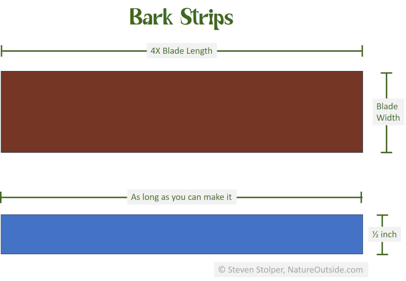 diagram of bark strips