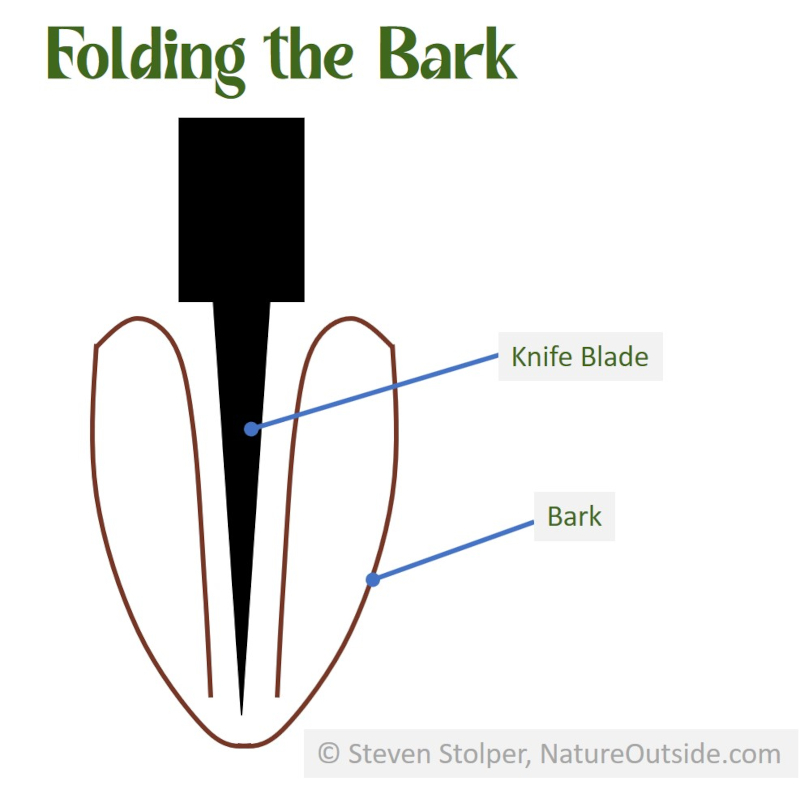 bark folding diagram