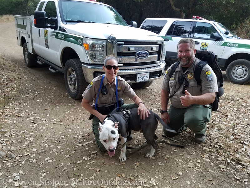 rangers and lost dog