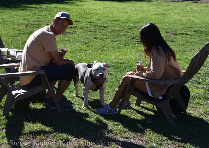 dog with winery patrons